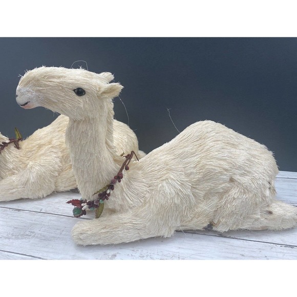 Trademark Exclusive Large Pair Decorative Nativity SITTING Lamas/Camels 11x16" - Picture 3 of 12